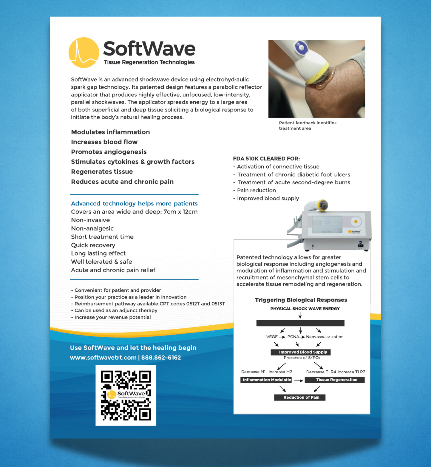 8.5" x 11" SoftWave Flyer: Informational Design 1